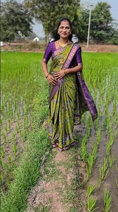 restcok narayanpet border sarees 700 free shipping 7670866440#shots video