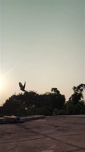 🧭 Direction makes the dimensions 🎯