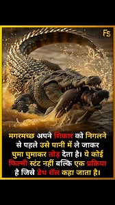 5.4K views · 1.4K reactions | Crocodile’s Deadly Death Roll! . ....