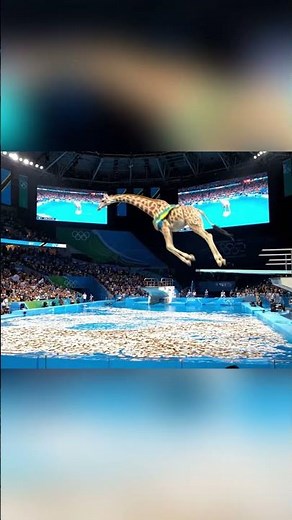 Animals Jump Into the Strangest Olympic Pools! 🏊🐾