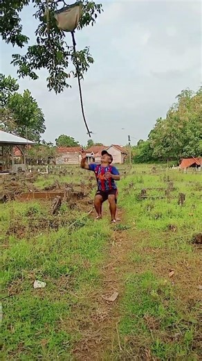 Wild animal drinking from a source high in a tree"#viralshort #animals