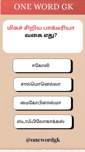 Today's super fast GK quiz, part 18 | One Word GK