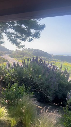 #entrepreneur #explore #lymphaticdrainagemassage #longbeach #southlosangeles #southbaycalifornia #la #estheticianlife #estheticiantiktok #training #sixfigures