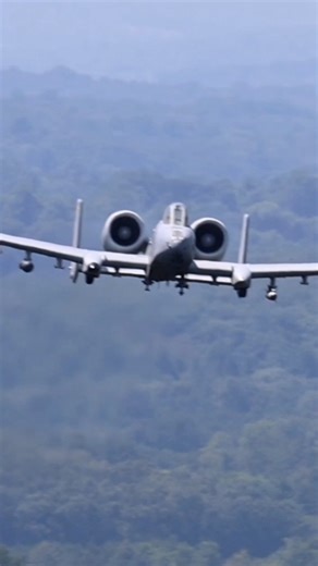 The Warthog at work 💥 The A-10 Thunderbolt II delivers a jaw-dropping up close show of force on the range — proving why it’s one of the most feared close air support aircraft in the skies. 🐗✈️ #A10 #Warthog #CloseAirSupport #AirPower #ShowOfForce #low #loud #Wow #airforce | Ryan Tykosh Photography