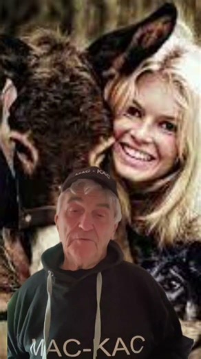 Les ânes #drolehumour #humour #humoristefrancais #blague #humor