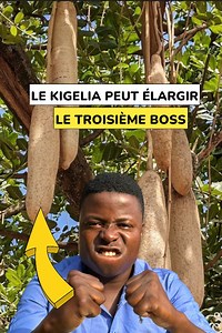 Le kigelia africana serait capable d’élargir le troisième boss. #Kigelia #africana #vertus | Agriculteurs Modernes