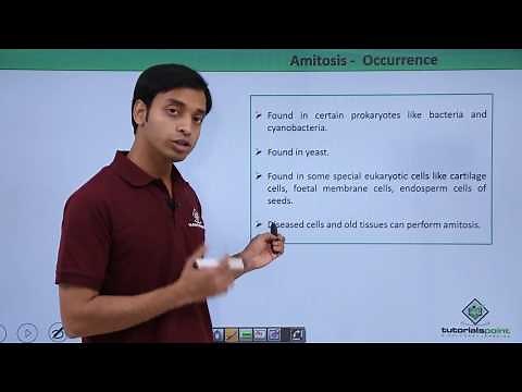 Class 11th - Amitosis | Cell Cycle and Cell Division | Tutorials Point