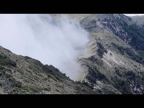 Cicada – 走入有霧的森林 Hiking in the Mist (Official MV)