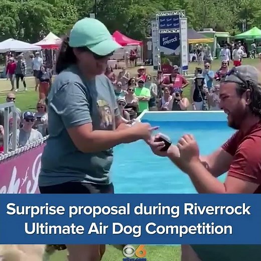 Surprise proposal at Riverrock's Ultimate Air Dogs 'is so cute'