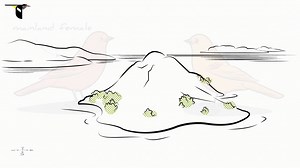 Speciation- An Illustrated Introduction