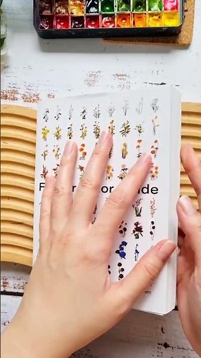 Flower Color Guide Book Mini Review