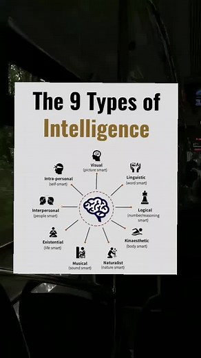 Understanding Different Types of Intelligence