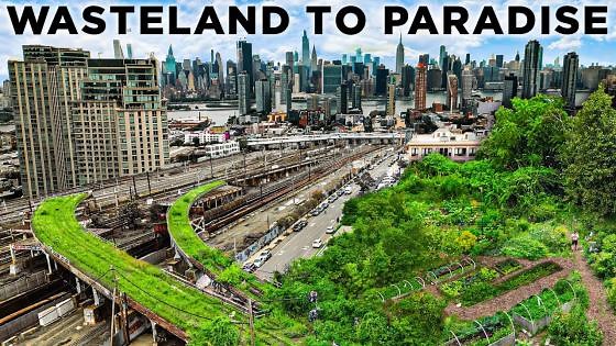 Guerilla Gardeners turn Toxic Soil into Eco-Oasis