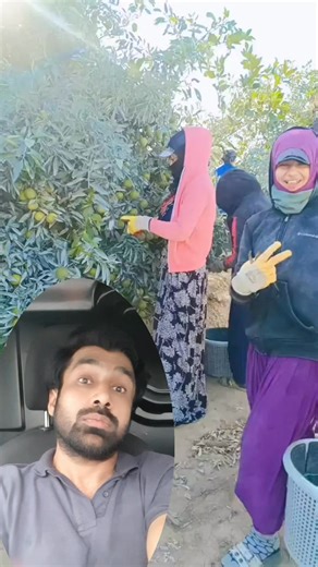 497K views · 15K reactions | Hard Work in Europe  | Girls in...