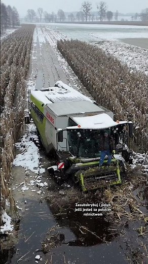 Wyciągnięty😀✈️ #dc #rolnictwo #fypシ゚viral #agriculture #class #wtopa #farm #masseyferguson #auto