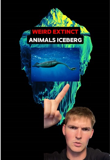 Weirdest Extinct Animals: The Tully Monster and More