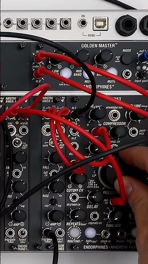 Ever wondered how to make a deep, warbly and chorused Reese bass? #eurorack #modularsynth #bassline
