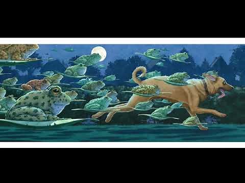 Tuesday by David Wiesner