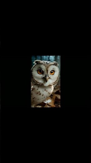 Microsecond Sound Maps: How Barn Owls Hunt in Darkness