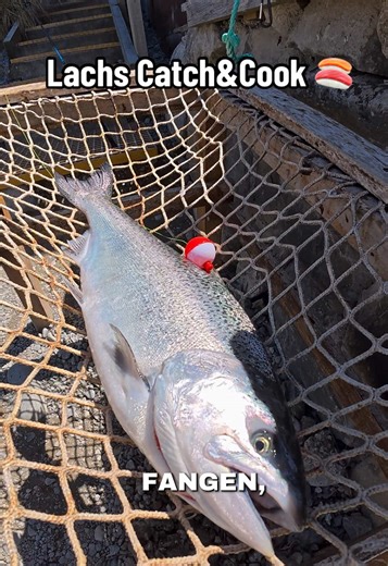 Lachs Catch&Cook: Sashimi selbst machen 🍣