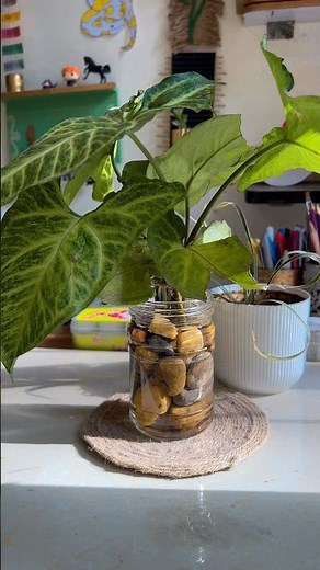I Turned a Simple Glass Jar into a Beautiful Indoor Plant Decor! 🌿✨ | Easy DIY Plant Setup