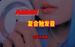 【复合ASMR】-多种触发音混合摩擦你的脑子-仓鼠号出品_哔哩哔哩_bilibili