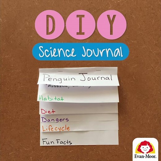 Evan-Moor's DIY Science Journal