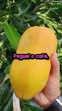 When did you realize you had moved into a different social class?