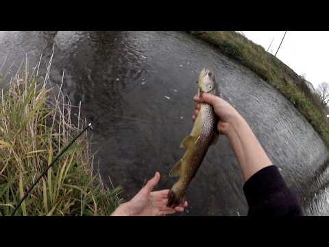 Preston Minnesota's 9 hole FISHING course - Trout fishing the Root River November 2025