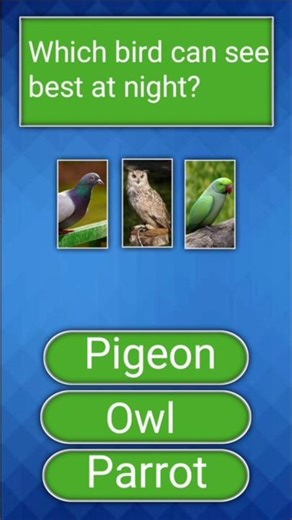 Easy Quiz Questions for Everyone‎#