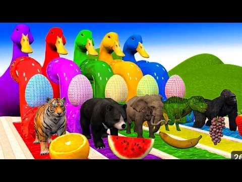 Animal cartoon and color cartoon caw, tigers, elephant other choosetherightdoor​ #paintanim