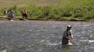 If you're new to fly fishing, the Orvis Guide to Fly Fishing is a fantastic tuition based series introducing the fundamentals of fly fishing for all kinds of species, in all kinds of waters. Its purpose is simple: to demystify fly fishing, make it fun and clearly demonstrate it is both accessible and affordable to anglers. Author and Orvis pro, Tom Rosenbauer hosts the series and provides in depth instruction on numerous different fly fishing situations in both fresh and saltwater. The series se