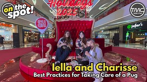 2K views · 45 reactions | On the Spot! Best Practices for Taking Care of a Pug Today on On the Spot, we travel to SM Seaside to speak with the organizers of Pug Meet 2025! Here they shared with us their thoughts on what the best practices to adopt are when caring for a pug. #topsmediacenter #themostcebu #topsradiostation #interview #OntheSpot #PugMeet2025 | TMC 105.1 | Facebook