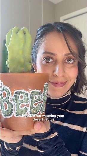 Don’t get about your beef (cactus) this fall & winter #cactuslovers #cactuscare #plantcaretips