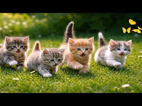 🌼🐱 Playful Kittens Exploring the Green Garden | Relaxing Cat Video | Calming Cat Moments
