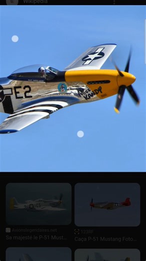 ‼️North American P-51 Mustang✈️‼️#northamerican #p51mustang #observation #flightradar24 #p51 #plane