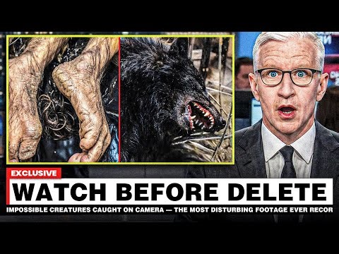IMPOSSIBLE Creatures Caught on Camera — The MOST Disturbing Footage Ever Recorded!