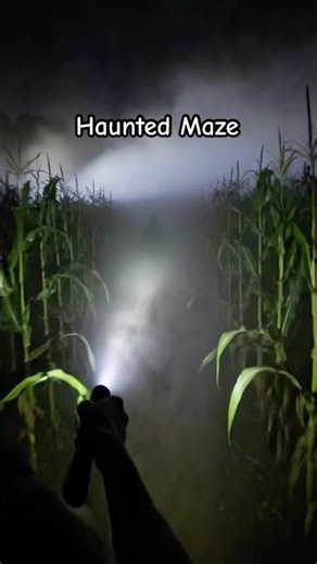 I make weird come to life ! #haunted #scary #places #ai #aicinema #werid #strange #dark