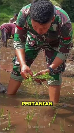 BERGERAK BERSAMA TURUN KE SAWAH #tmmdsinergriuntuknegri