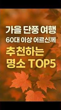 가을 단풍 여행 TOP5 | 60대 이상 시니어 가족 효도여행 추천 명소