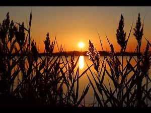 The Great Invocation - a guided meditation