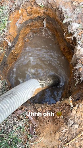 Old traditional septic tank with a failing drain field | Royal Flush Sewer Services, LLC