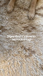 Does your rug look like this? It's time to get a new one! | Rugs.com