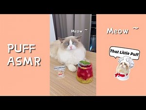 April Recipe Collection | The Cooking Cat | That little Puff (ASMR)