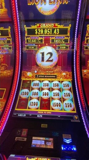 Lion Link #kickapoo #luckyeaglecasino #luckyeagletx #casinogame #slot