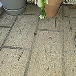 Sherum Tipsy Frog Pot Hugger - 3" Miniature Frog Figurines, Waterproof Garden Decor Outdoor Statue for Flower Pots & Yard