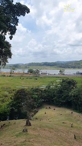 ~Panamá Canal Railway 🚂 El Ferrocarril de Panamá, también conocido como el Ferrocarril Transístmico de Panamá, es una línea ferroviaria que atraviesa el istmo de Panamá, conectando las ciudades de Colón en el océano Atlántico y la Ciudad de Panamá en el océano Pacífico. 🔸Historia: ▫️ Fue inaugurado en 1855, convirtiéndose en el primer ferrocarril transcontinental del mundo🚂🌎. ▫️Fue construido para facilitar el tránsito de personas y mercancías durante la fiebre del oro de California🪙. ▫️Jug