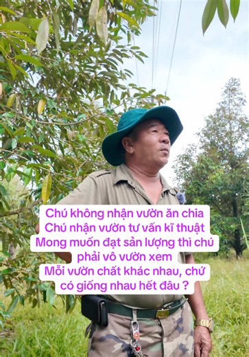 Nhận tư vấn kỹ thuật vườn sầu riêng, bưởi, cam tại Đạ Tẻh và Lâm Đồng