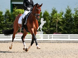 Here's What 2028 Olympic Games Will Take Place In Orange County