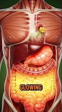 The Moment Everything Changes 😳🔥 | Watch This!#MindBlowing #EpicMoment #mustwatch